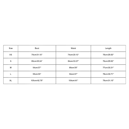 Generisch Colcha medieval para disfraz de Halloween, de malla, multicolor, para reunión de fiestas, cosplay, para mujer, disfraz de cosplay de látex (plateado, M)